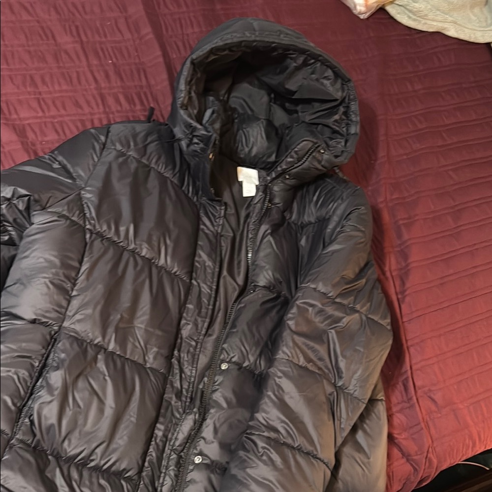 H&M Black Quilted Puffer Jacket with Hood